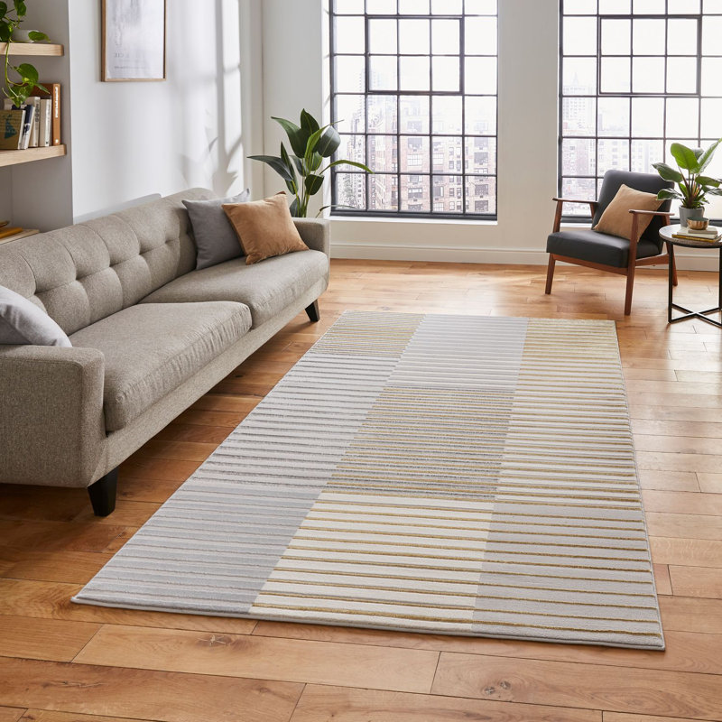 Apollo area rug Machine Woven Rectangle Grey, Rectangle 120 x 170cm