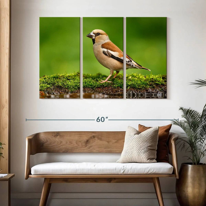Finch, 32" H x 50" W