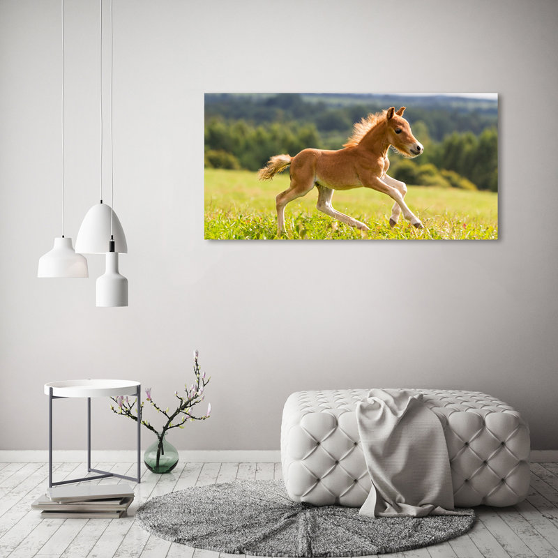 Foal In Gallop - Wrapped Canvas Print