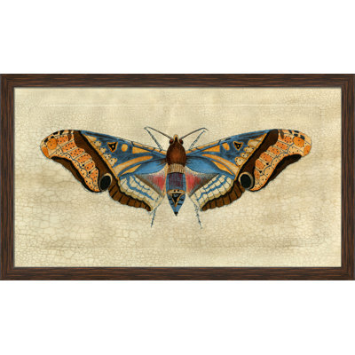 Grand Moth II Painting