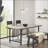 3 Head Crystal Glass Bulb Pendant Light