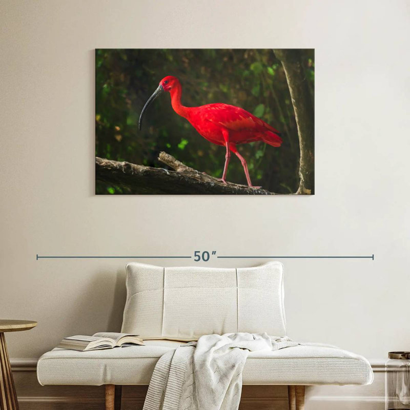 Brampt Red Ibis Bird, 26" H x 39" W