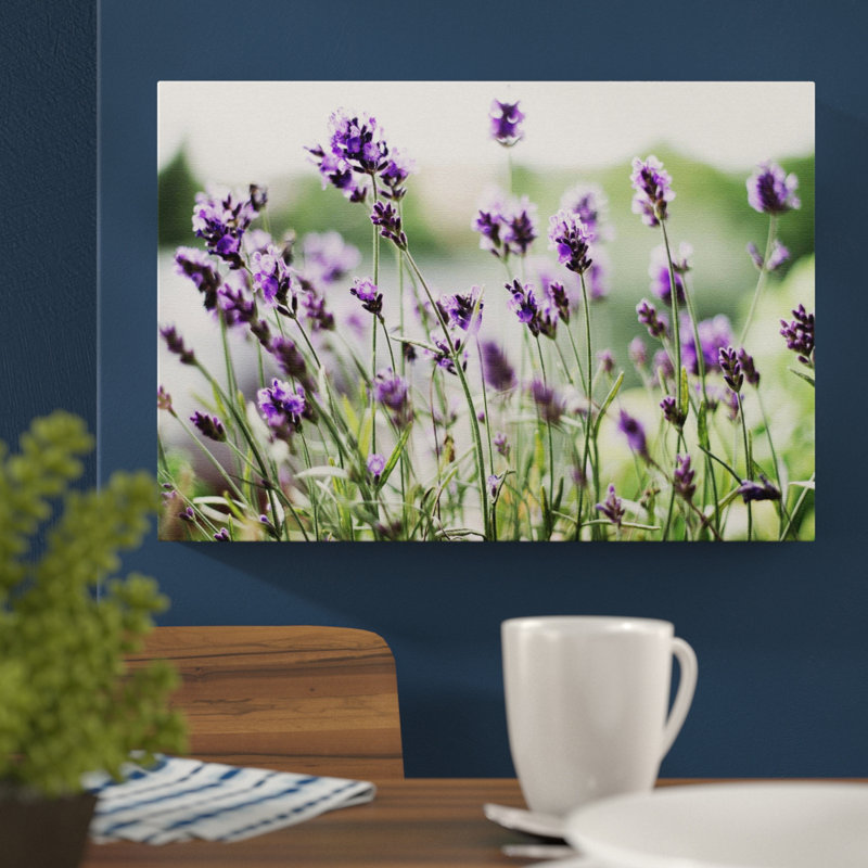 Purple Lavender Photographic - Wrapped Canvas, 40cm H x 60cm W
