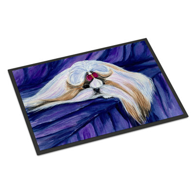 Non-Slip Indoor Doormat