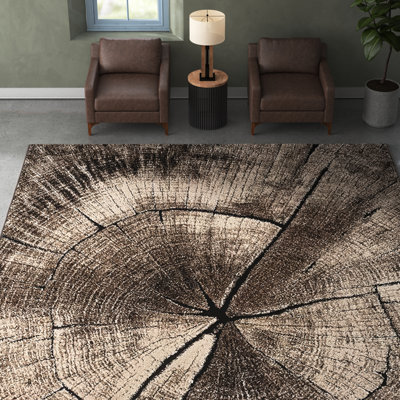 Assaria Abstract Area Rug