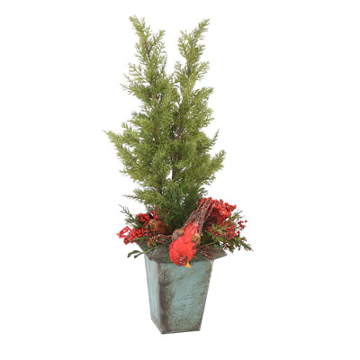 Sapins en pot antique avec baies et oiseaux rouges