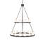 24 - Light Chandelier