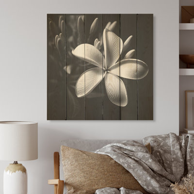 Spectrum Wild Moonlight Plumeria Beauty I - Plumeria, art sur bois de pin naturel