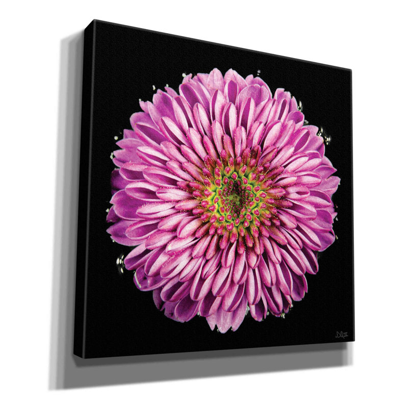 Mauve dégradé par Donnie Quillen, H 12 po x l 12 po x P 0,75 po