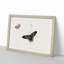 A Wasp and Three Butterflies by Herman Henstenburgh - Picture Frame Painting Print on Paper-55457598-55457599