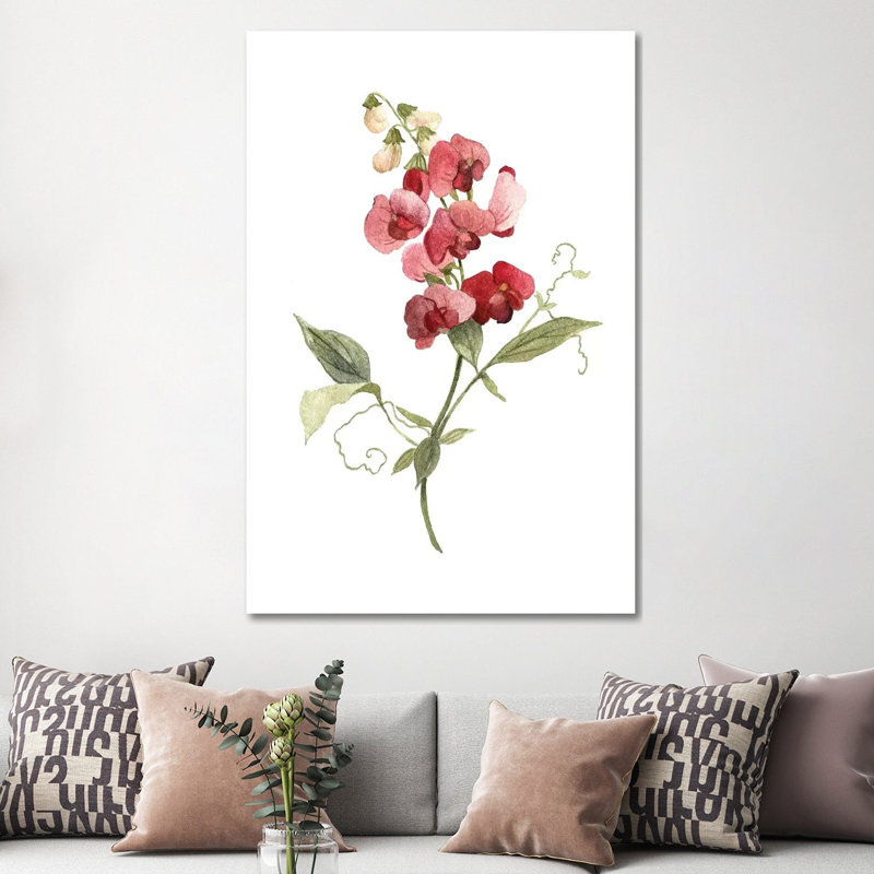 «Scarlet Sweet Pea» par Carol Robinson, reproduction d'art sur toile tendue, H 60 po x l 40po x P 1,5 po
