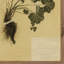 Petite Study No. V Painting by Hannah Winters-1069263959