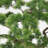 63"H Real-touch beauty Bonsai