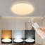 Ceiling light