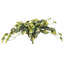 15 plantes-94734804
