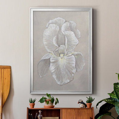 White Iris II " White Iris II "