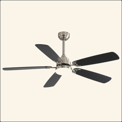 Modern 52 Inch Led Ceiling Fan With 110V 6 Speed Wind 5 Blades Remote Control Reversible DC Motor With Light
