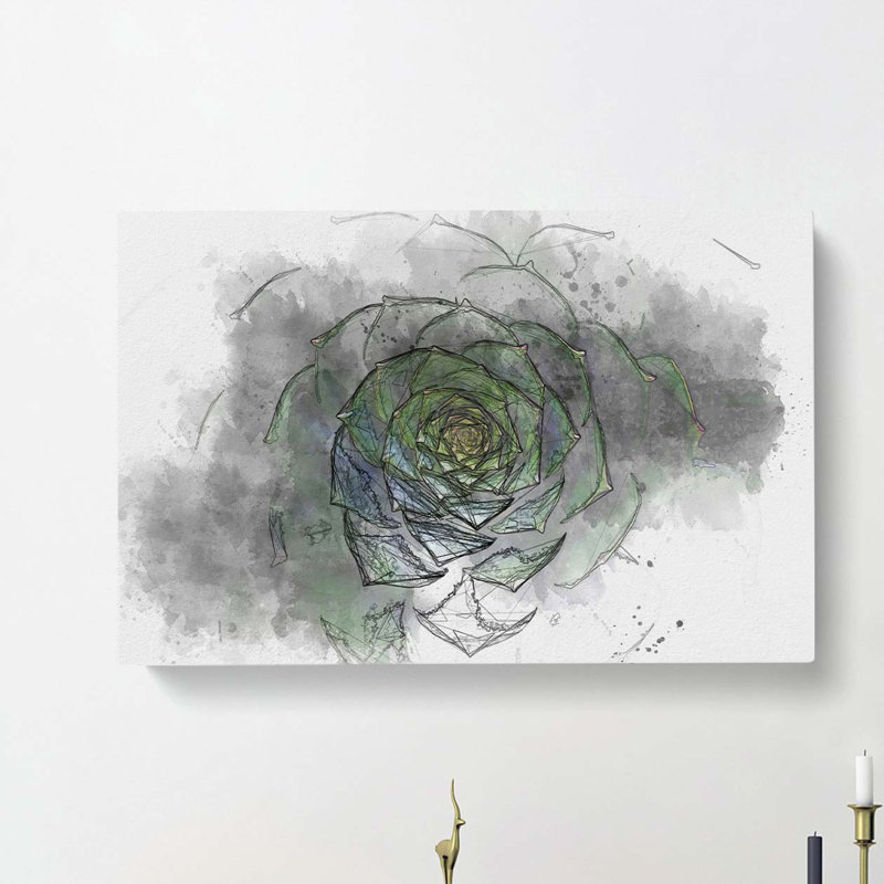 Dark Green Succulent Plant in Abstract - Wrapped Canvas, 50cm H x 76cm W x 3cm D