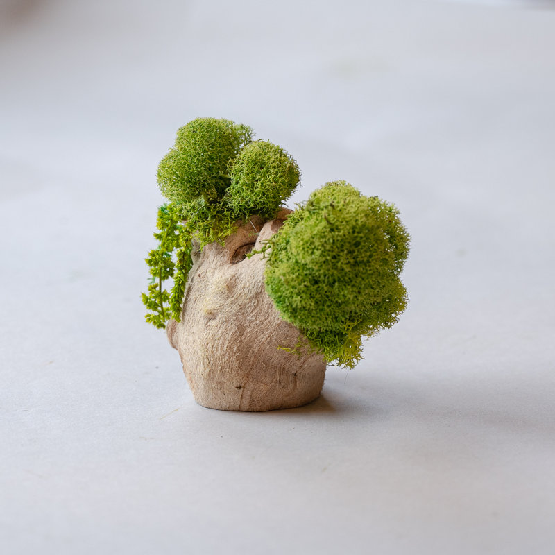 Dempsey Landscape & Nature Figurines & Sculptures