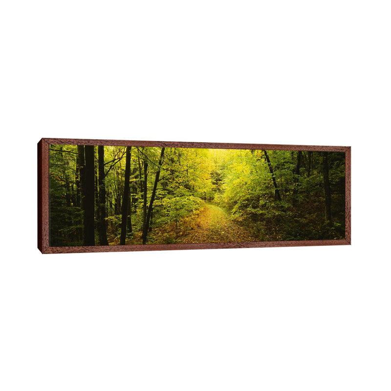 Dirt road passing through a forest, Vermont, USA 1 Piece Panoramic Wall Art on Canvas, 121.92 cm H x 40.64 cm W