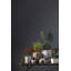 Vase Hedy-1072335159
