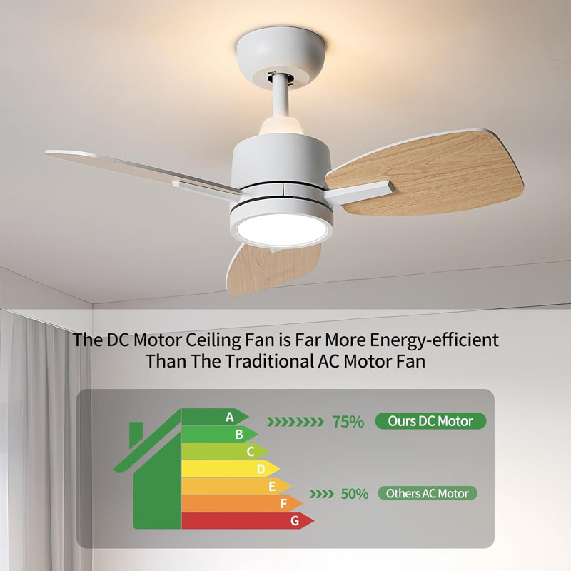 Gupta 32'' Ceiling Fan with LED Lights