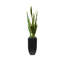 Faux Snake Plant (Sansevieria) Plant in Planter