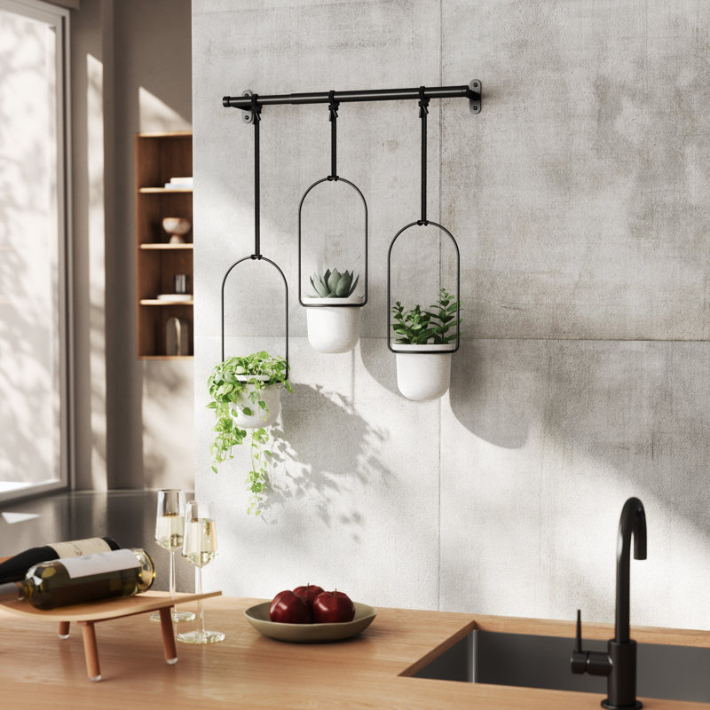 Triflora Hanging Planter, White/Black