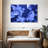 Sea Jellies-107704614