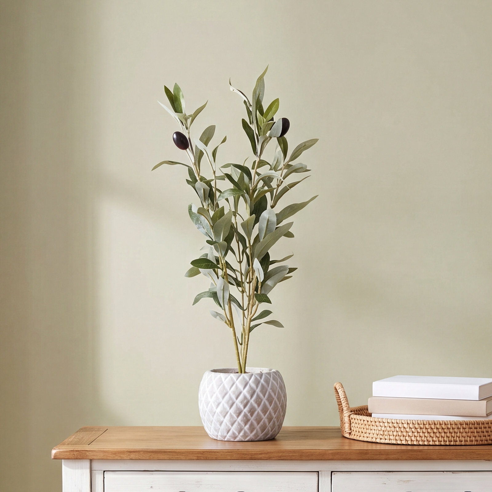 Olive 14'' Faux Olive Tree Plant in Cement Pot