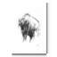 «Western Animal S croquis I», reproduction d'art sur toile tendue-835798715