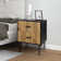 Alexandera 25.2'' H Modern Nightstand with Two Drawers
