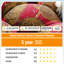 Coussin de siège / dossier extérieur 3 pièces Latitude Run®-1484356077