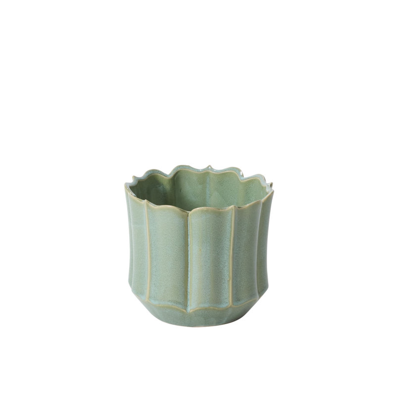 Pot Everleaf - grand
