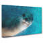Face Of A Seal - Wrapped Canvas-61877219