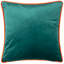 Lion Abstract Square Throw Pillow Cover