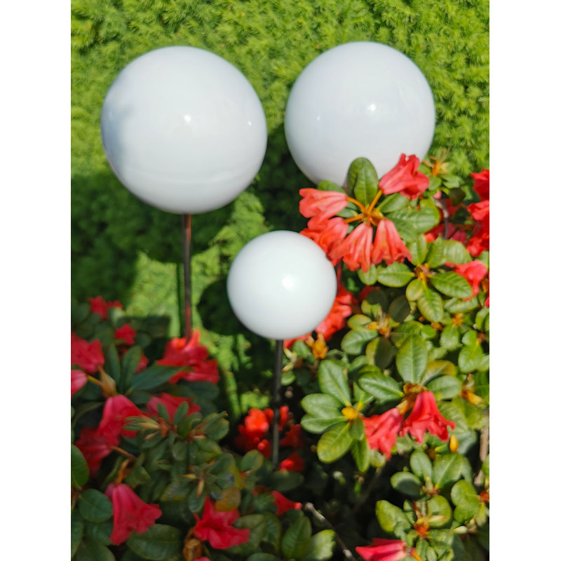 Charri Stainless Steel Gazing Ball, 15cm H x 30cm W x 25cm D, White