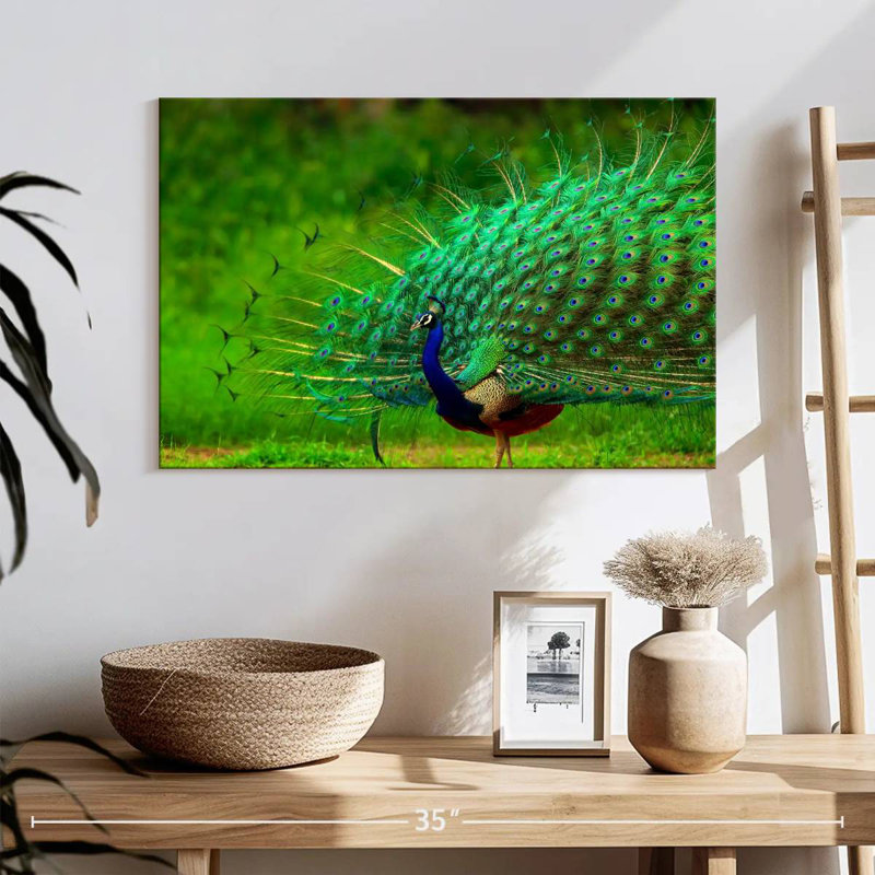 Brampt Blue Peacock Brilliant Plumage, 16" H x 24" W