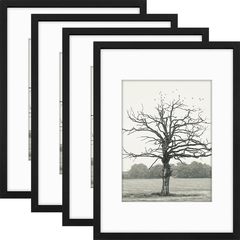 Picture Frame Wall Set with Polished Plexiglass, 12" W x 16" H, Black