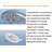 Massage/Jet Handheld Shower Head 2.5 GPM GPM