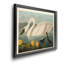 Common American Swan - reproduction de cadre photo sur toile-1521585878-1521585873