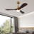 Huybert 48'' Ceiling Fan with LED Lights