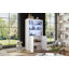Glass Rectangle Accent Cabinet