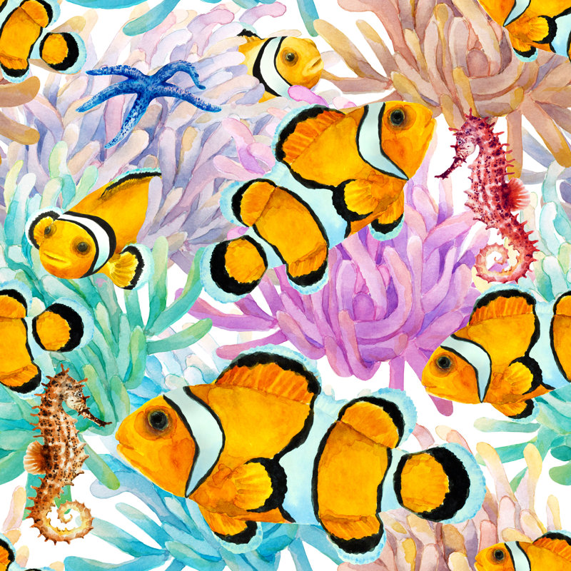 Ravalli Tropical Reef Clownfish - Wrapped Canvas Painting, 30cm H x 30cm W x 3.8cm D