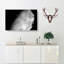 The Moons North Pole In Abstract - Wrapped Canvas Print-55300856