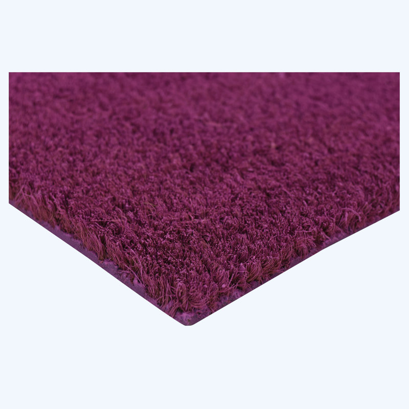 Tapis d'entrée antidérapant Kasper, L 24 po x L 36 po, Mauve