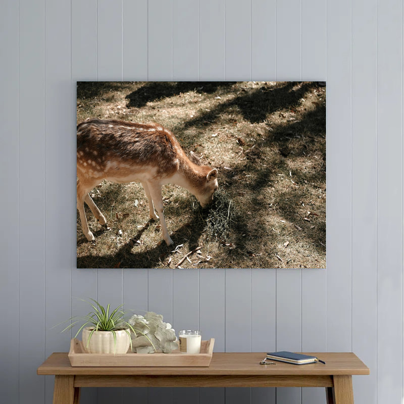 Deer on a Meadow, 8" H x 12" W