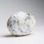 Genuine Polished Dendritic Agate Palm Crystal
