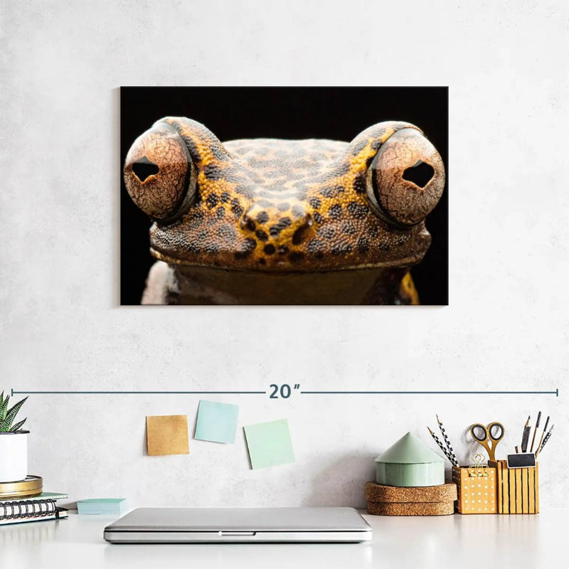 Brampt Tree Frog Eyes, 8" H x 12" W
