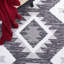 Tapis Aryal Performance Southwestern-875533780